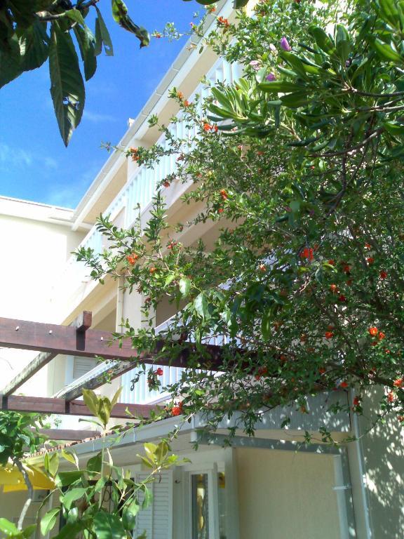 Villa Tenžera Herceg Novi Exterior foto